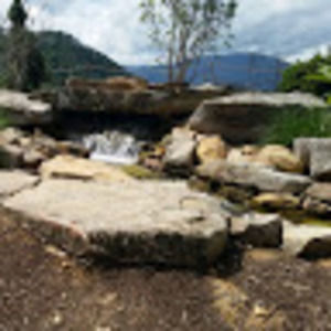 Meet your Posher, Dawn